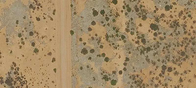 Douglas, AZ 85607