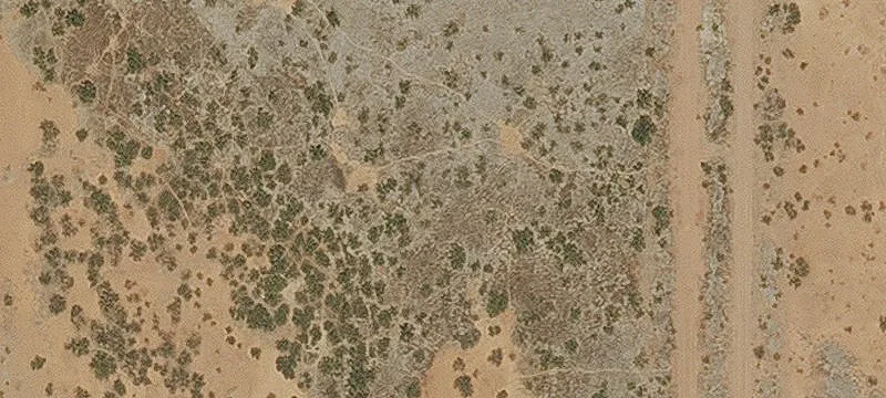 Douglas, AZ 85607