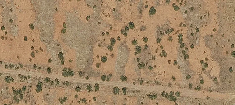 Douglas, AZ 85607