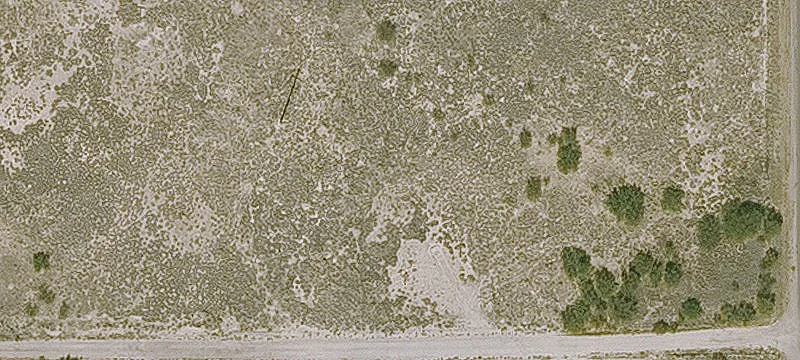 Willcox, AZ 85643