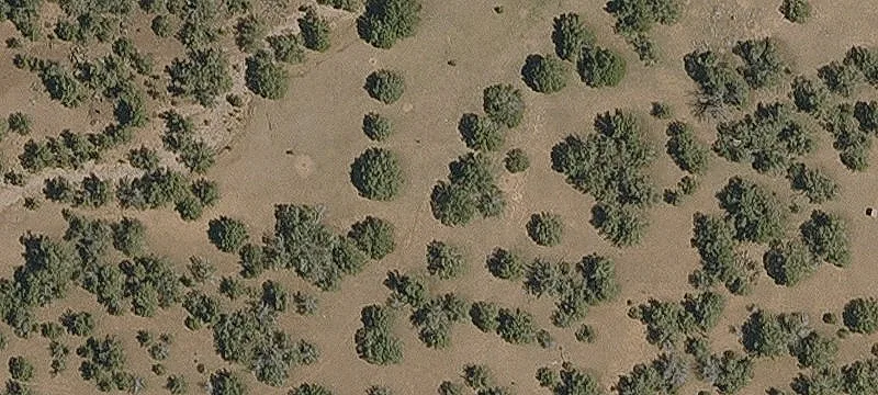 Williams, AZ 86046