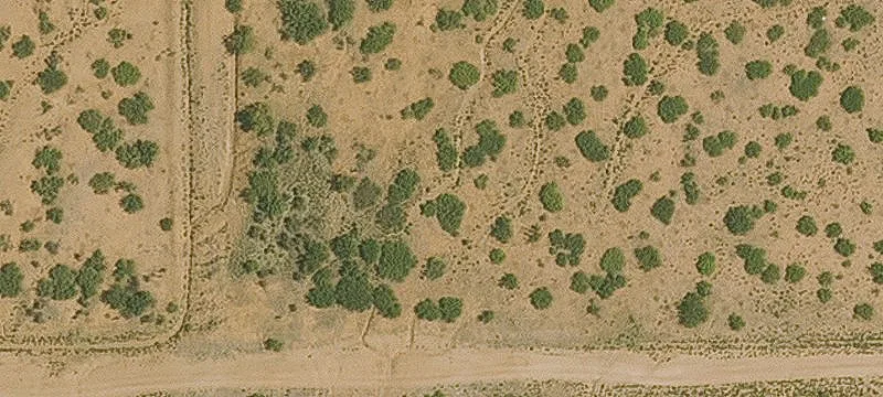 Willcox, AZ 85643