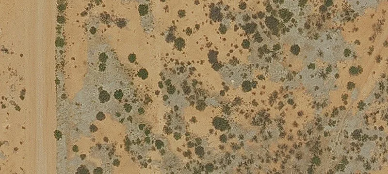 Douglas, AZ 85607
