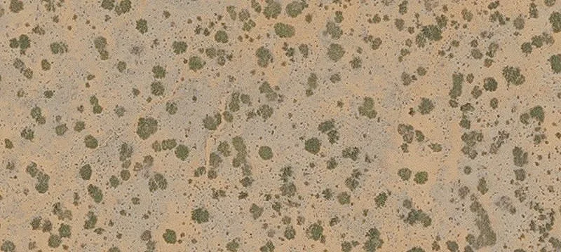 Bowie, AZ 85605