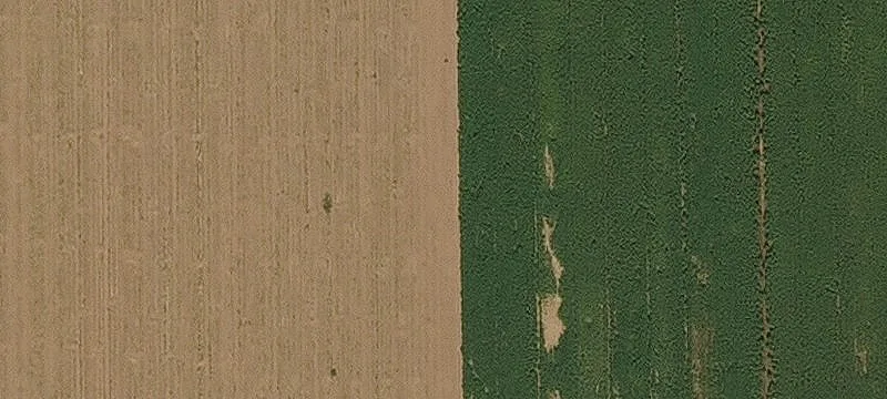 Waddell, AZ 85355