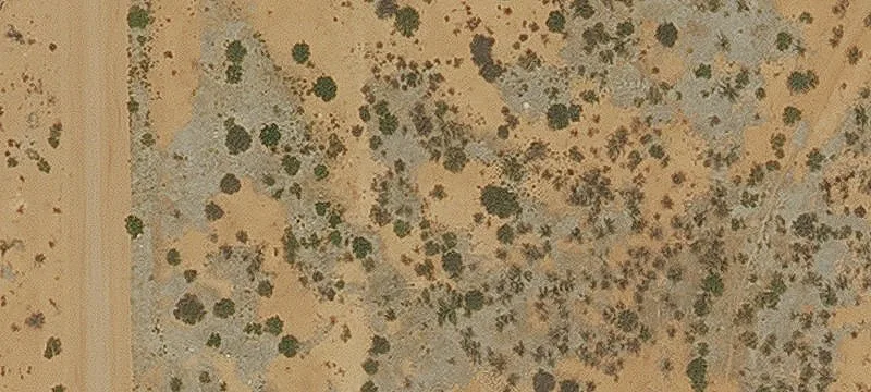 Douglas, AZ 85607