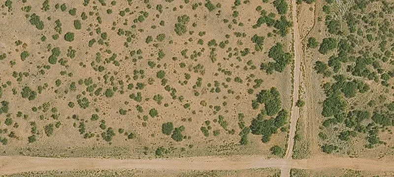 Willcox, AZ 85643
