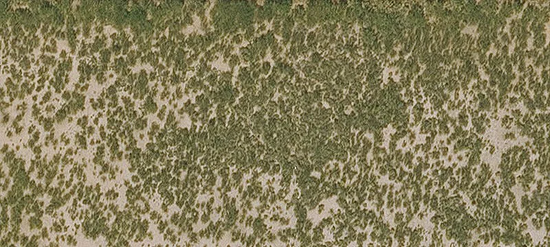 Cochise, AZ 85606