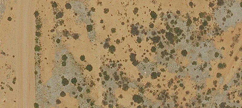 Douglas, AZ 85607