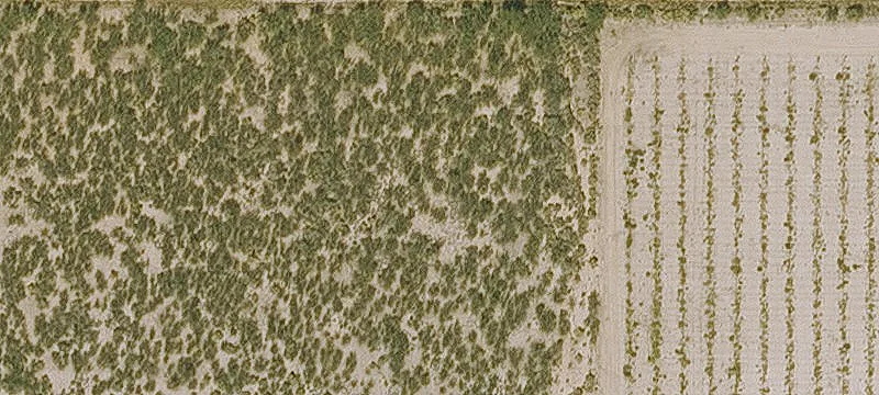 Cochise, AZ 85606