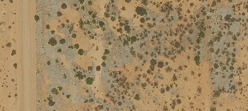 Douglas, AZ 85607