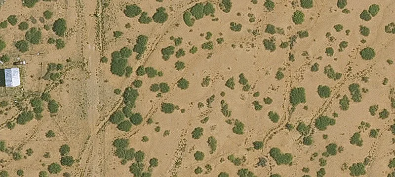 Willcox, AZ 85643
