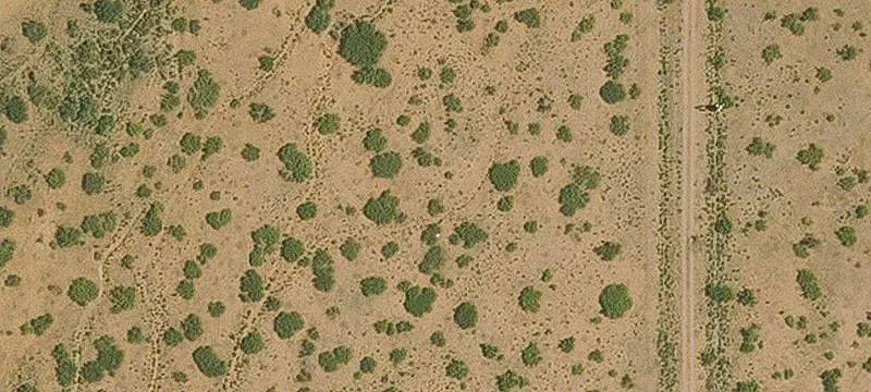 Willcox, AZ 85643
