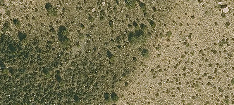 Willcox, AZ 85643