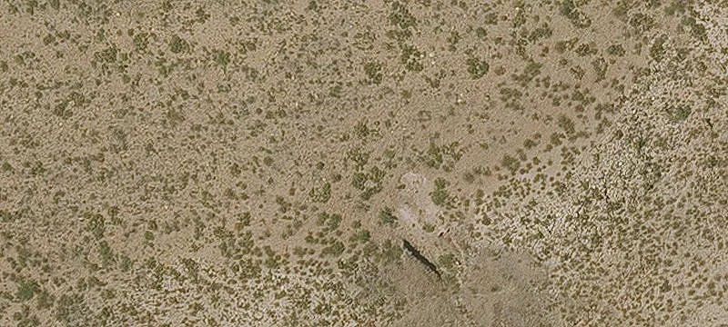 Clifton, AZ 85533