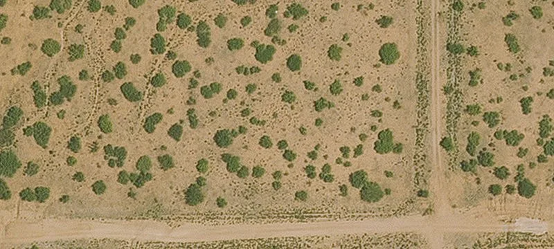 Willcox, AZ 85643