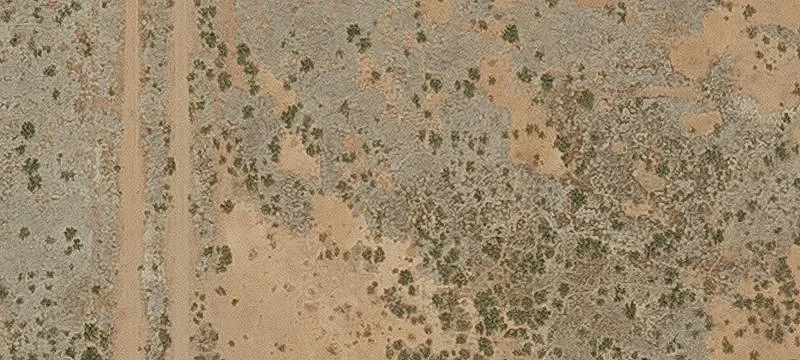 Douglas, AZ 85607