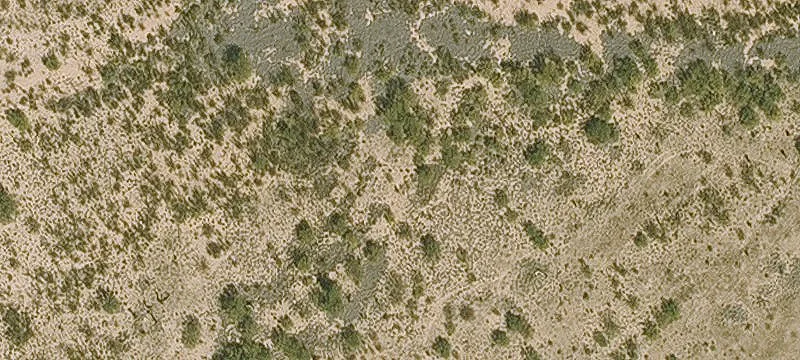 Benson, AZ 85602