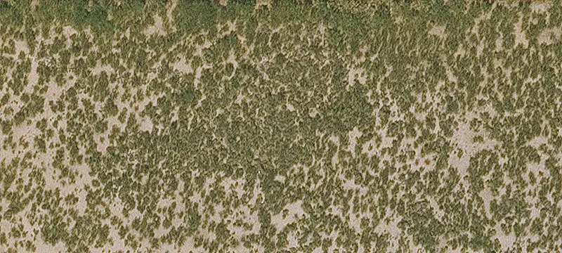 Cochise, AZ 85606