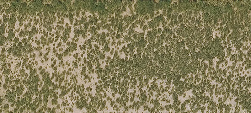 Cochise, AZ 85606
