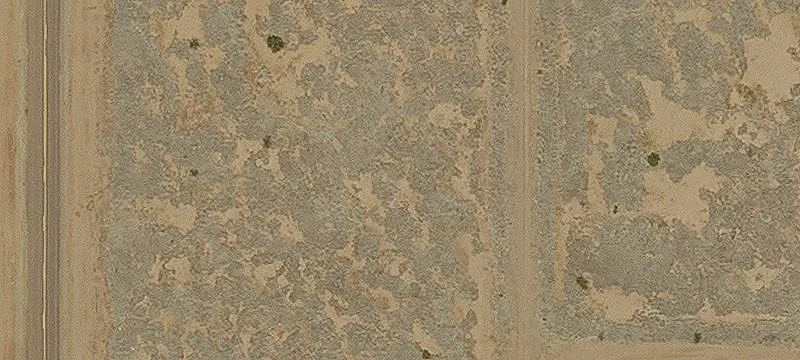 Douglas, AZ 85607