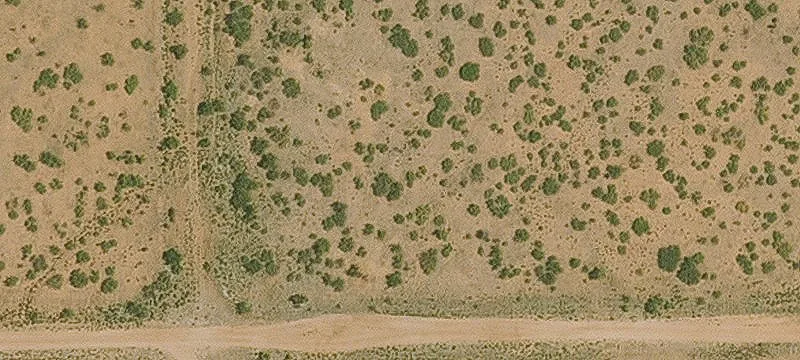 Willcox, AZ 85643