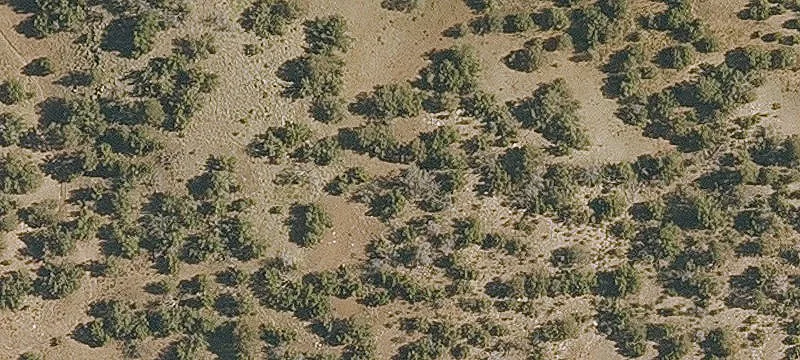 Williams, AZ 86046