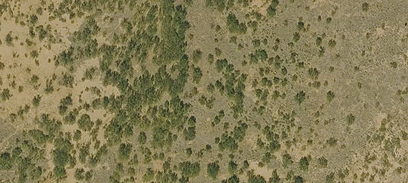 Cochise, AZ 85606