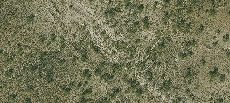 Sahuarita, AZ 85629