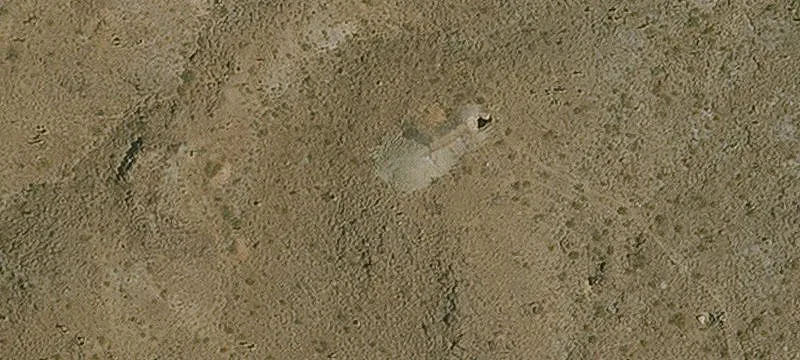 Oatman, AZ 86433