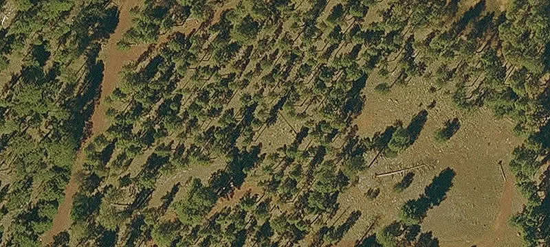 Pinetop, AZ 85935