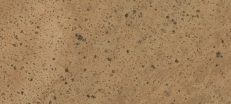 Golden Valley, AZ 86413