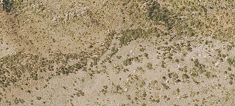 Scottsdale, AZ 85262