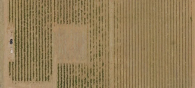Pearce, AZ 85625
