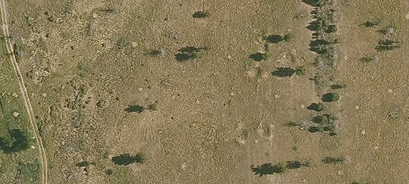 Chino Valley, AZ 86323