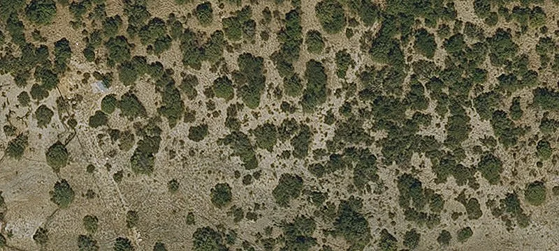 Patagonia, AZ 85624