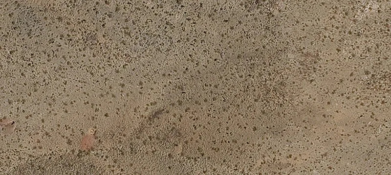 White Hills, AZ 86445