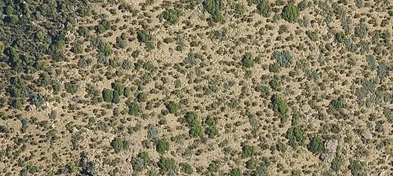 Wikieup, AZ 85360