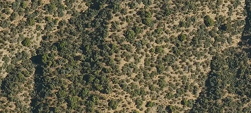 Wikieup, AZ 85360