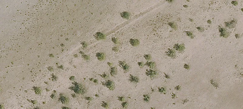 Florence, AZ 85132