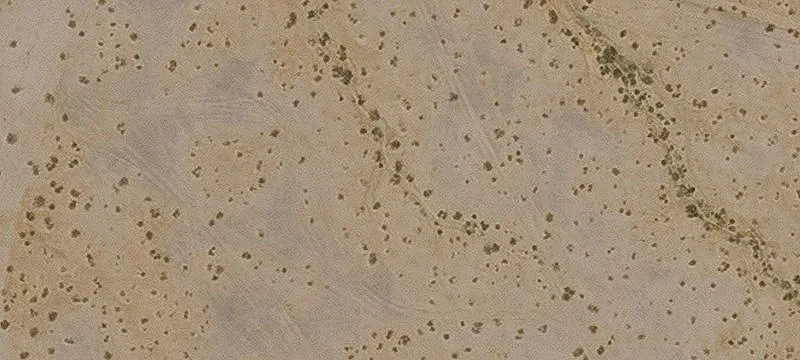Gila Bend, AZ 85337