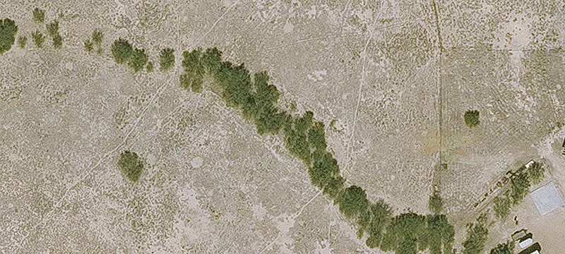 Willcox, AZ 85643
