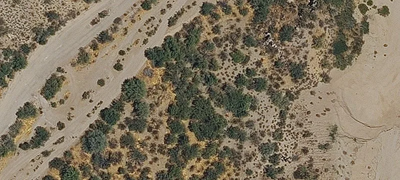 Morristown, AZ 85342