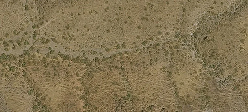 Oatman, AZ 86433