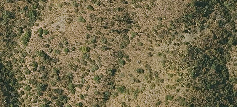 Kearny, AZ 85137