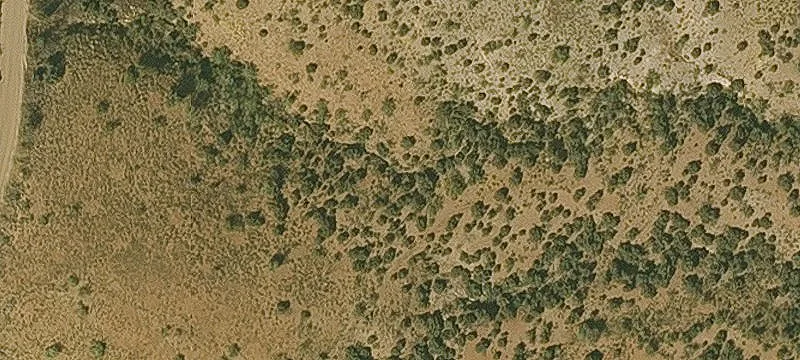 Globe, AZ 85501