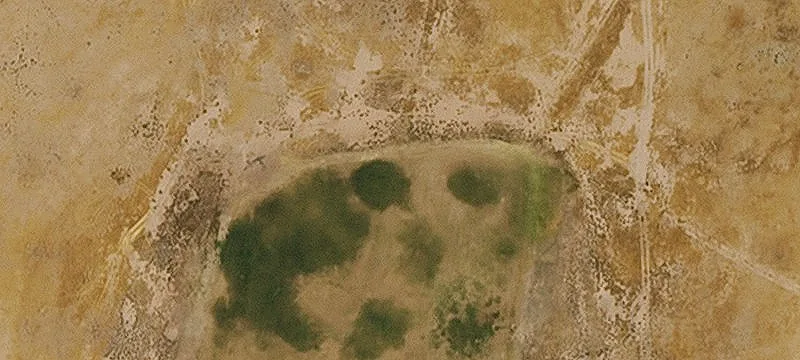 Littlefield, AZ 86432