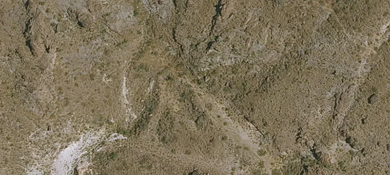 Oatman, AZ 86433