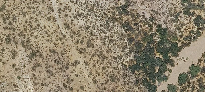Wickenburg, AZ 85390
