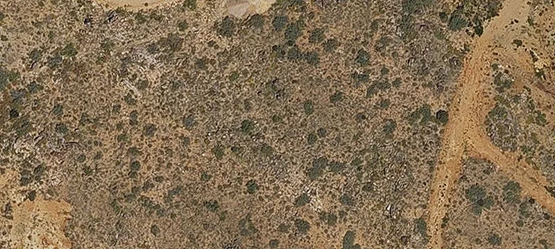 Golden Valley, AZ 86413